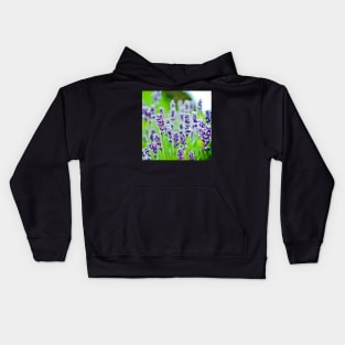 Purple Lavender Kids Hoodie